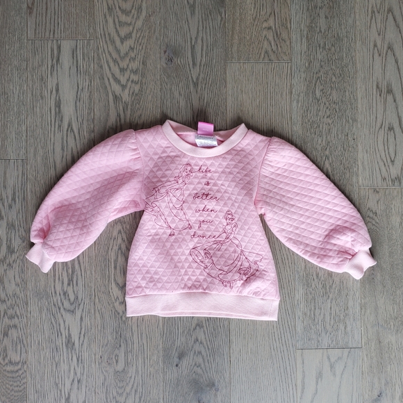 Disney Princess sweater